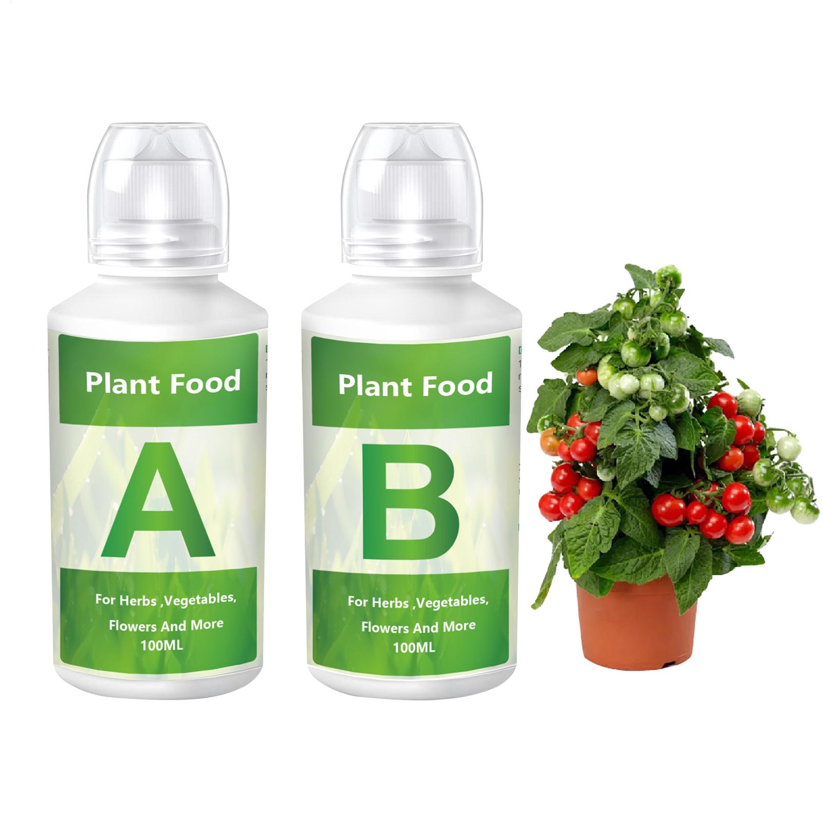 Nutrient Solution Ab - ปุ๋ยไฮโดรโปนิกส์ AB ชุดสารละลายปุ๋ยสำหรับผักในโรงเรือน ปุ๋ยสำหรับการปลูกแบบไร้ดิน