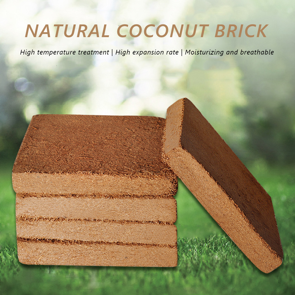 Coco Coir Block - บล็อกปลูกต้นไม้จากใยมะพร้าวออร์แกนิค สำหรับปลูกดอกไม้
