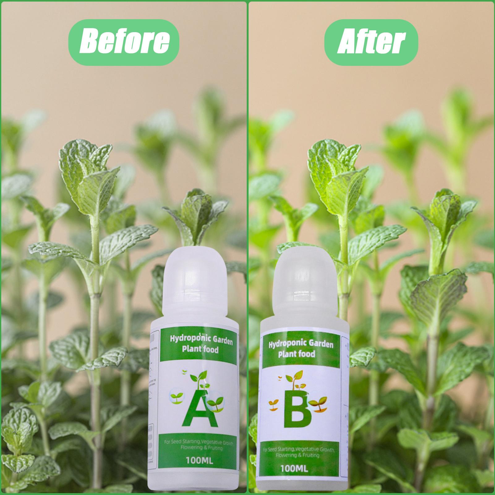 ปุ๋ยไฮโดรโปนิกส์ น้ำยาบำรุงพืช - Nutrient Solution Ab บทวิจารณ์และราคา