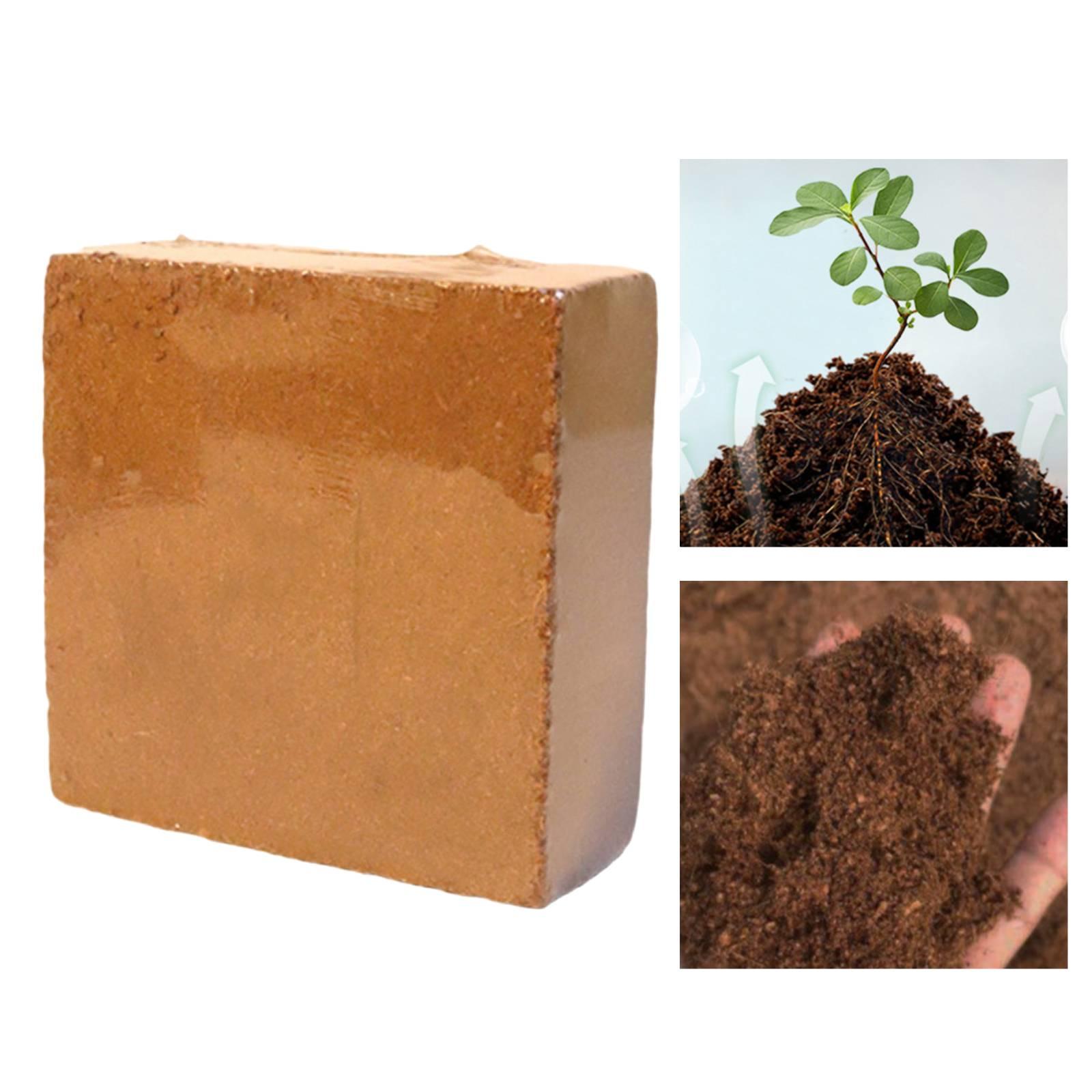 อิฐมะพร้าวอัดแน่น ดูดซับความชื - Coco Coir Block บทวิจารณ์และราคา