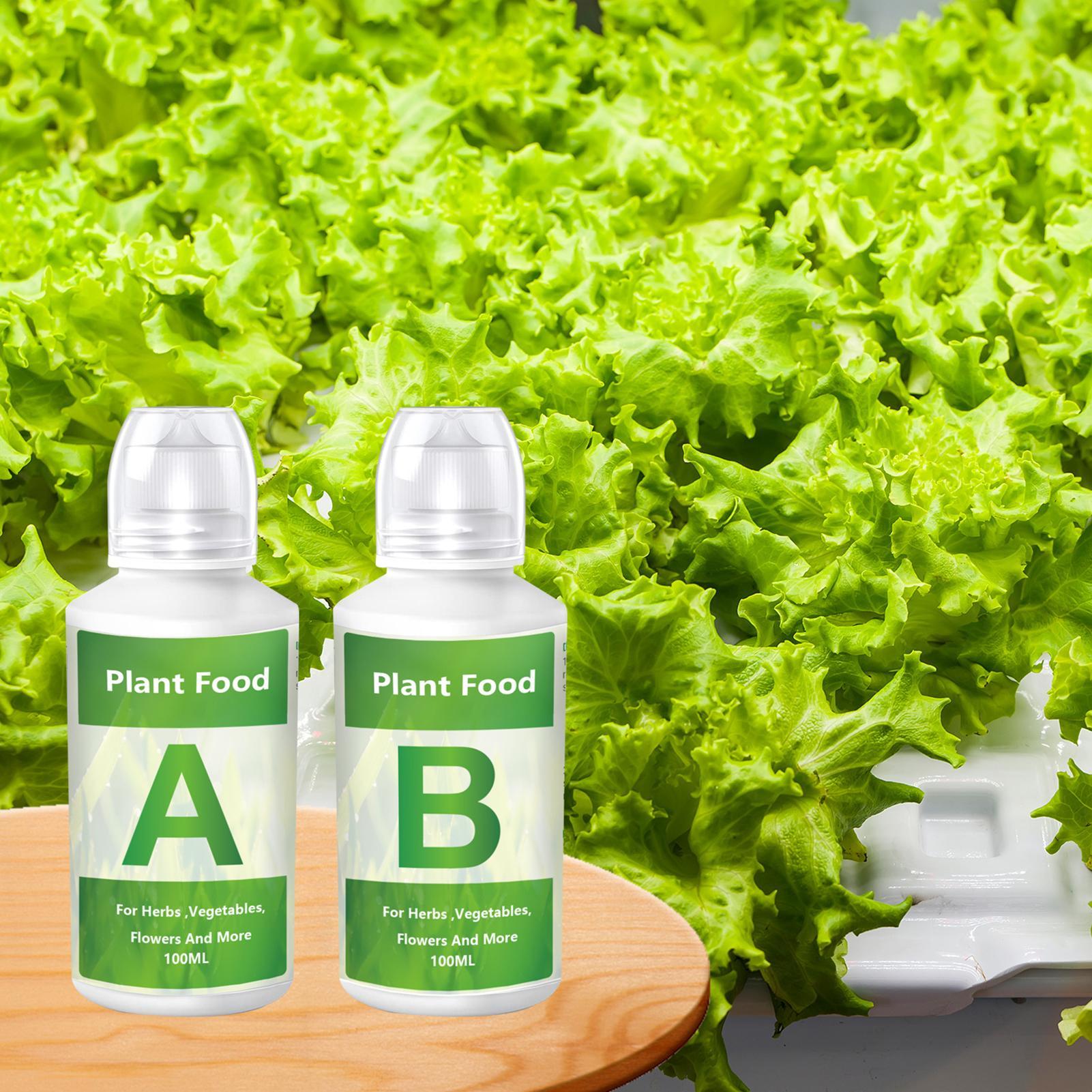 ปุ๋ยไฮโดรโปนิกส์ น้ำยาบำรุงพืช - Nutrient Solution Ab บทวิจารณ์และราคา